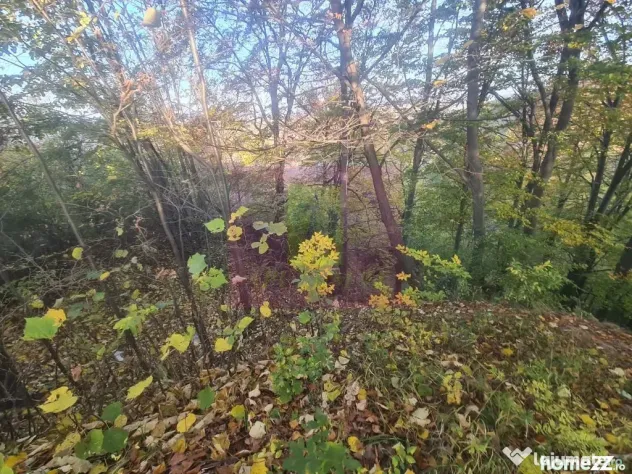 Teren intravilan de vanzare in Telega - Telega (Prahova)