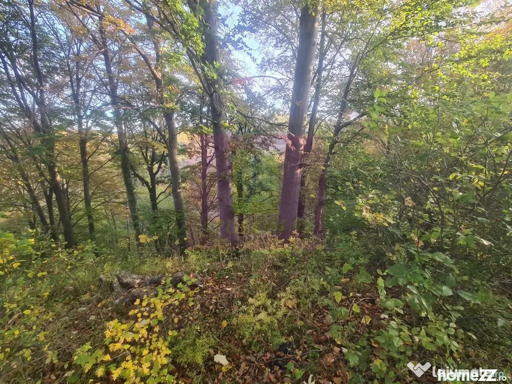 Teren intravilan de vanzare in Telega - Telega (Prahova)
