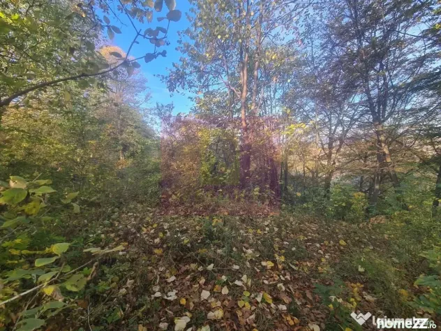Teren intravilan de vanzare in Telega - Telega (Prahova)