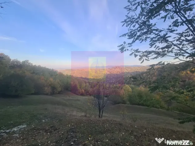 Teren intravilan de vanzare in Telega - Telega (Prahova)