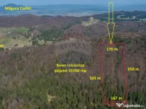 Teren intravilan, 56000 mp, Poiana Braşov