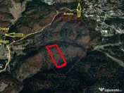 Teren intravilan, 56000 mp, Poiana Braşov 