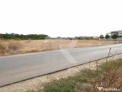 LOTURI PENTRU CASA - 420mp + 89mp drum - Otopeni, Ilfov - IN 