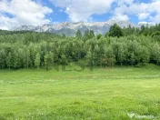 COMISION 0%! Teren superb la Plaiul Foii, pe malul Barsei 