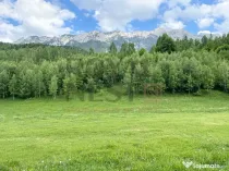 COMISION 0%! Teren superb la Plaiul Foii, pe malul Barsei