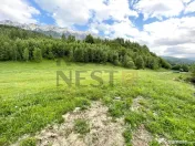 COMISION 0%! Teren superb la Plaiul Foii, pe malul Barsei 