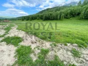 COMISION 0%! Teren superb la Plaiul Foii, pe malul Barsei 