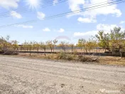 Loc de casă în Sofronea(lot.3), la 7 km de Arad 