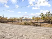 Loc de casă în Sofronea(lot.3), la 7 km de Arad 