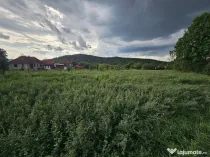 Casa si teren Birtin