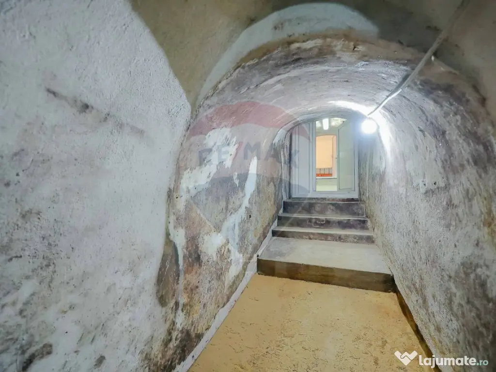 De vânzare casă cu 1 cameră, pivniță, teren 472 mp, ...