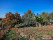 De vânzare casă cu 1 cameră, pivniță, teren 472 mp, ... 