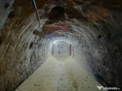 De vânzare casă cu 1 cameră, pivniță, teren 472 mp, ... 