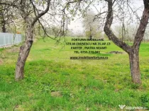 Teren intravilan Rediu, la 30 minute de oras, 4585 mp