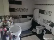 Vilă de vânzare Valea Lupului 