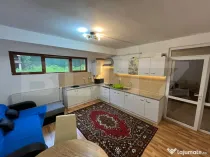 Apartament generos cu 1 camera, 70mp, zona Campului , Manast
