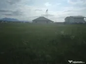 Teren Izvor-Tărlungeni 