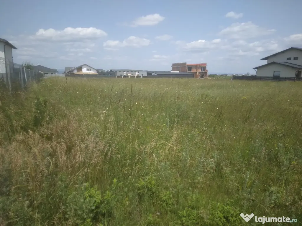 Teren Izvor-Tărlungeni