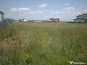 Teren Izvor-Tărlungeni 