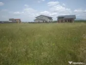 Teren Izvor-Tărlungeni 