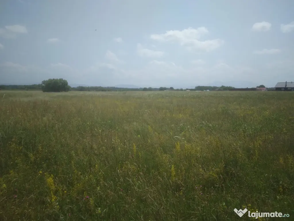 Teren Izvor-Tărlungeni