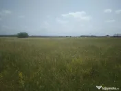 Teren Izvor-Tărlungeni 