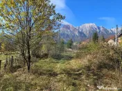Teren intravilan cu vedere spectaculoasă spre Crucea Car... 