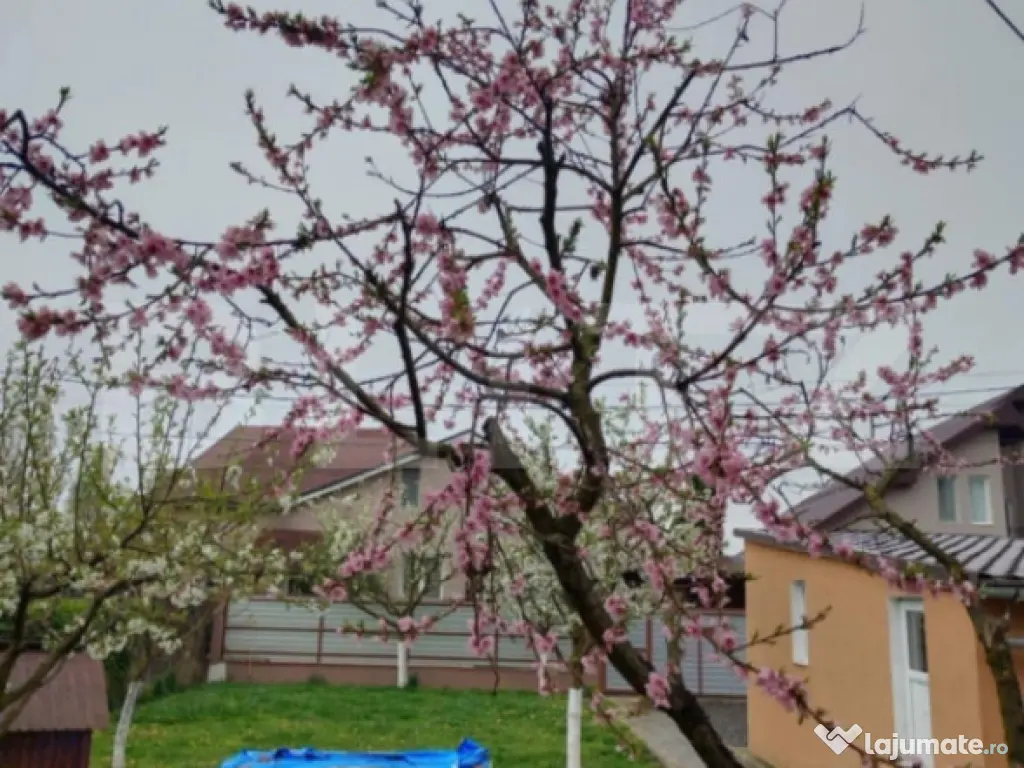 Casa de vanzare in Ernei