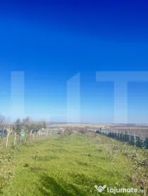 DE VÂNZARE — Teren Intravilan | Botoșani, Orășeni Deal