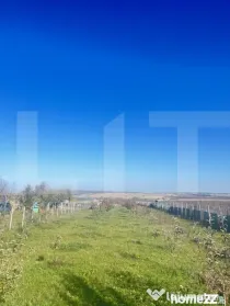 DE VÂNZARE — Teren Intravilan | Botoșani, Orășeni Deal
