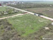 Mogosoaia | Teren intravilan | Suprafata: 932.64 mp cu desch 