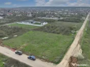 Mogosoaia | Teren intravilan | Suprafata: 932.64 mp cu desch 
