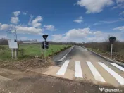 Mogosoaia | Teren intravilan | Suprafata: 932.64 mp cu desch 