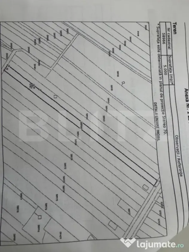 Teren 5000 mp, deschidere 13 ml, Bals