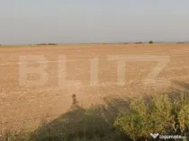 Oportunitate Investitie Teren Deschidere 30mp ,Carcea, Zona