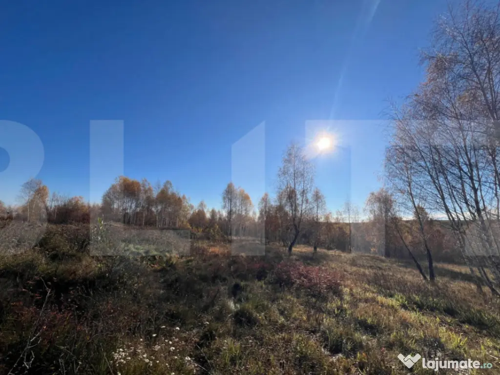 Teren construibil de vanzare, zona casele Micesti