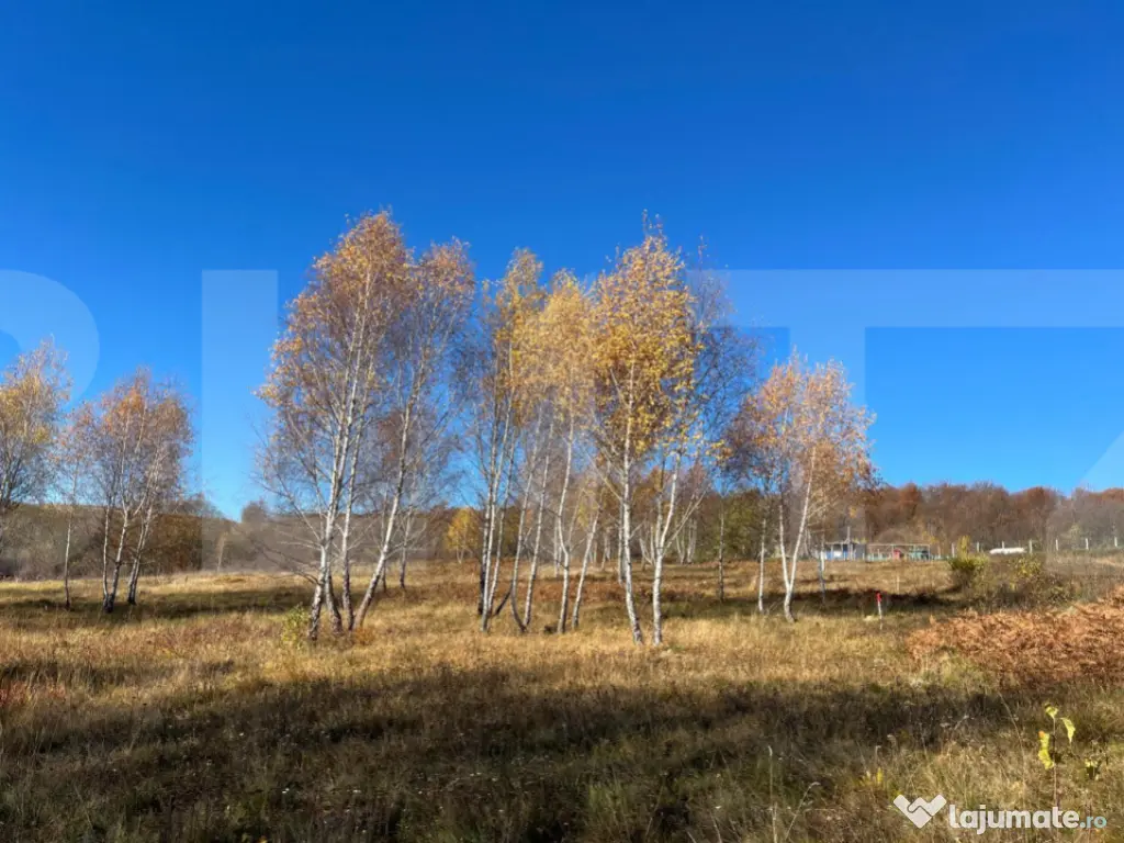 Teren construibil de vanzare, zona casele Micesti