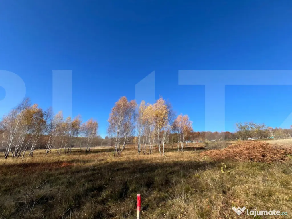 Teren construibil de vanzare, zona casele Micesti