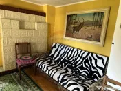 Casă / Vilă cu 3 camere de vânzare Piatra Soimului 