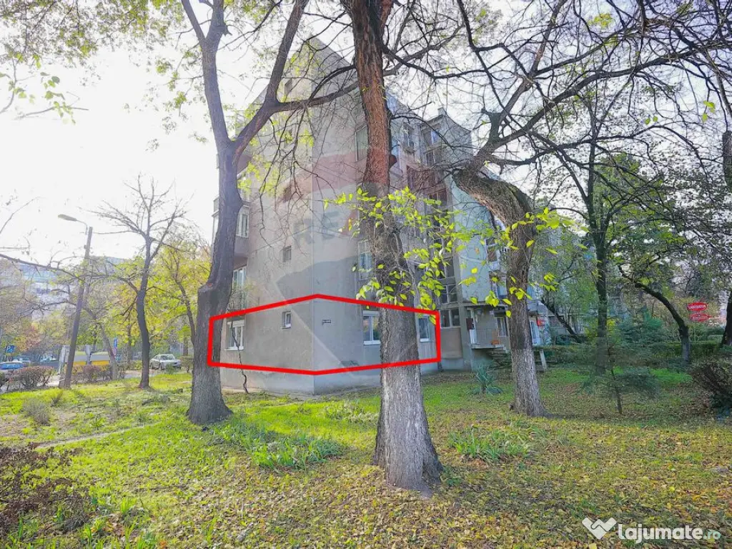 Apartament cu 2 camere de vânzare în zona Centrală