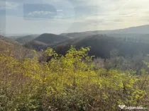 Teren extravilan impadurit, 20424 mp ideal pentru investitie