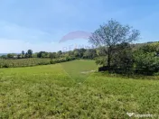 Tere cu constructie de vanzare in Urlati 