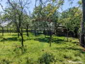 Tere cu constructie de vanzare in Urlati 