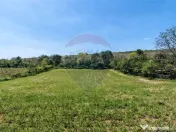 Tere cu constructie de vanzare in Urlati 