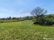 Tere cu constructie de vanzare in Urlati 