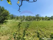 Tere cu constructie de vanzare in Urlati 