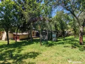 Tere cu constructie de vanzare in Urlati 