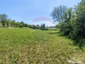 Tere cu constructie de vanzare in Urlati 