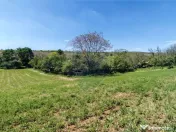 Tere cu constructie de vanzare in Urlati 