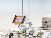 Plantatie de afine la cele mai inalte standarde, de vanzare! 